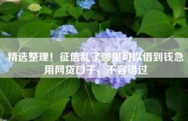 精选整理！征信乱了哪里可以借到钱急用网贷口子，不容错过