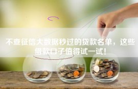 不查征信大数据秒过的贷款名单，这些借款口子值得试一试！