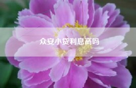 众安小贷利息高吗