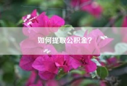 如何提取公积金？