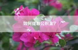 如何提取公积金？