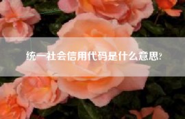 统一社会信用代码是什么意思?