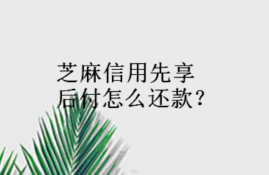 怎样设置芝麻信用先享后付自动还款？