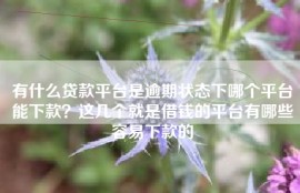 有什么贷款平台是逾期状态下哪个平台能下款？这几个就是借钱的平台有哪些容易下款的