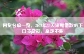 网贷名单一览，2022年30天短期借款必下口子贷款，拿走不谢