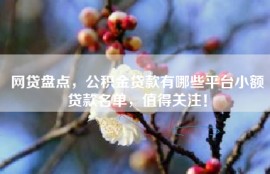 网贷盘点，公积金贷款有哪些平台小额贷款名单，值得关注！