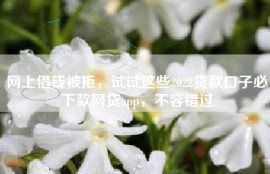 网上借钱被拒，试试这些2022贷款口子必下款网贷app，不容错过
