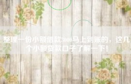 整理一份小额借款3000马上到账的，这几个小额贷款口子了解一下！