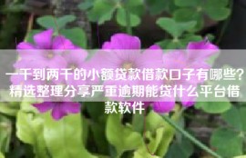 一千到两千的小额贷款借款口子有哪些？精选整理分享严重逾期能贷什么平台借款软件