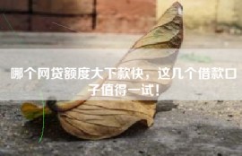 哪个网贷额度大下款快，这几个借款口子值得一试！