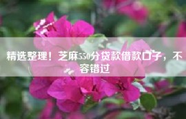 精选整理！芝麻550分贷款借款口子，不容错过