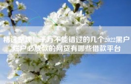 精选整理！千万不能错过的几个2022黑户烂户必放款的网贷有哪些借款平台