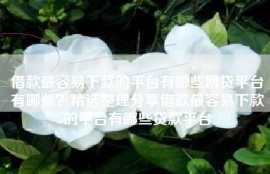 借款最容易下款的平台有哪些网贷平台有哪些？精选整理分享借款最容易下款的平台有哪些贷款平台