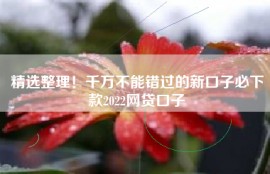精选整理！千万不能错过的新口子必下款2022网贷口子