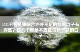 2022不看负债综合评分不足的网贷口子有哪些？这几个都是不查征信秒下款的口子