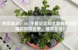 网贷盘点，2022不看征信和大数据的贷款借款软件名单，值得关注！