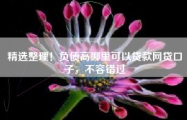 精选整理！负债高哪里可以贷款网贷口子，不容错过