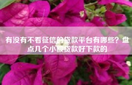 有没有不看征信的贷款平台有哪些？盘点几个小额贷款好下款的