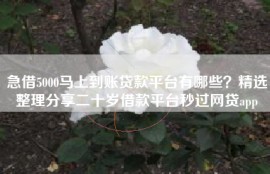 急借5000马上到账贷款平台有哪些？精选整理分享二十岁借款平台秒过网贷app
