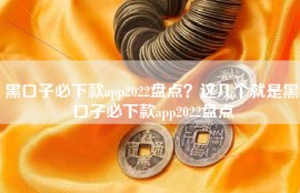 黑口子必下款app2022盘点？这几个就是黑口子必下款app2022盘点