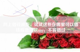 网上借钱被拒，试试这些在哪里可以借钱应急贷款app，不容错过