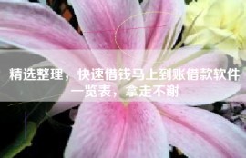 精选整理，快速借钱马上到账借款软件一览表，拿走不谢