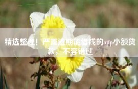 精选整理！严重逾期能借钱的app小额贷款，不容错过