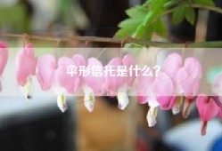 伞形信托是什么？