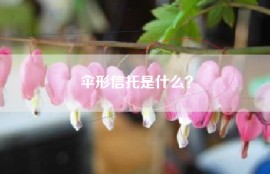 伞形信托是什么？