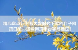 精心盘点，不看大数据必下款的口子网贷口子，这些网贷平台容易通过！