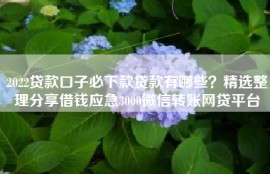 2022贷款口子必下款贷款有哪些？精选整理分享借钱应急3000微信转账网贷平台