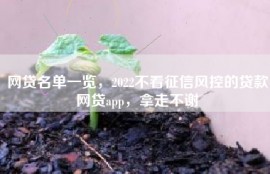 网贷名单一览，2022不看征信风控的贷款网贷app，拿走不谢