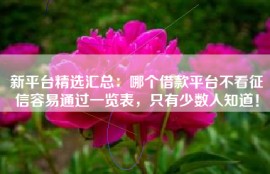 新平台精选汇总：哪个借款平台不看征信容易通过一览表，只有少数人知道！