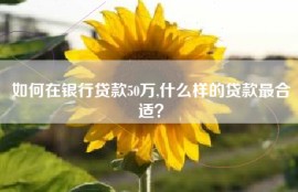 如何在银行贷款50万,什么样的贷款最合适？