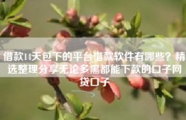 借款14天包下的平台借款软件有哪些？精选整理分享无论多黑都能下款的口子网贷口子