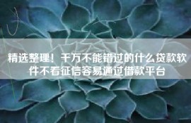 精选整理！千万不能错过的什么贷款软件不看征信容易通过借款平台