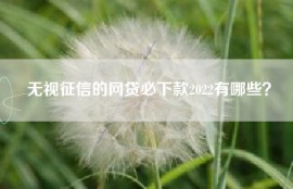无视征信的网贷必下款2022有哪些？