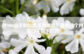 借1000必下款的网贷有哪些？盘点几个网贷口子好下款的
