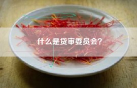 什么是贷审委员会？