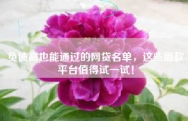 负债高也能通过的网贷名单，这些借款平台值得试一试！