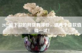 2022能下款的网贷有哪些，这几个贷款值得一试！