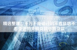 精选整理！千万不能错过的不看征信不看负债的大额贷款小额贷款