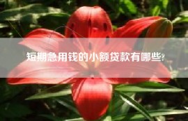 短期急用钱的小额贷款有哪些?