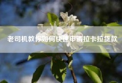 老司机教你如何快速申请拉卡拉贷款