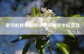 老司机教你如何快速申请拉卡拉贷款