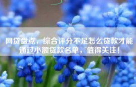 网贷盘点，综合评分不足怎么贷款才能通过小额贷款名单，值得关注！