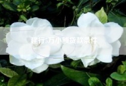 建行5万小额贷款条件