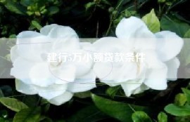建行5万小额贷款条件