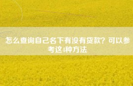 怎么查询自己名下有没有贷款？可以参考这4种方法