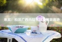 来宾：构筑广西内陆东融发展新高地